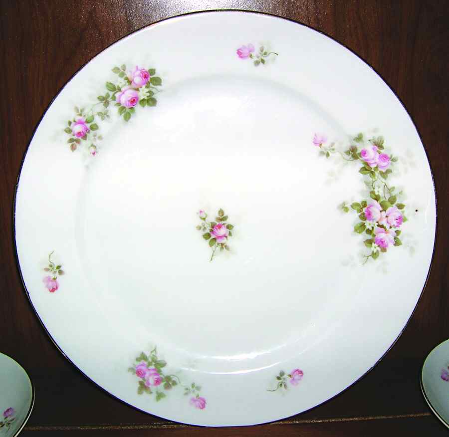TIR416 Dinner Plate by Tirschenreuth-1