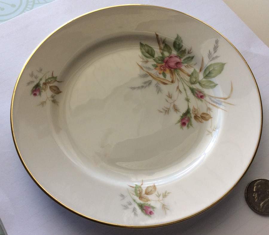 07470 (Cream Background, No Embossing) Bread & Butter Plate by Thomas-1