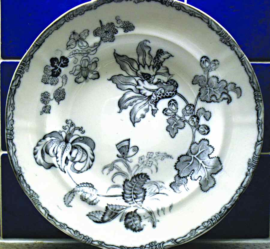Lily Dinner Plate by Thomas Dimmock-1