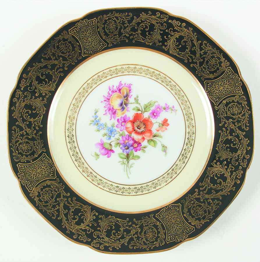 TIR427 Dinner Plate by Tirschenreuth-1