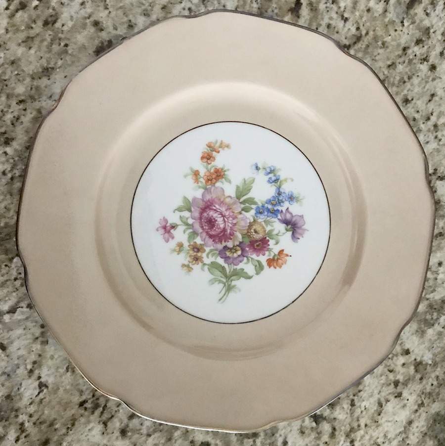 TIR428 Dinner Plate by Tirschenreuth-1