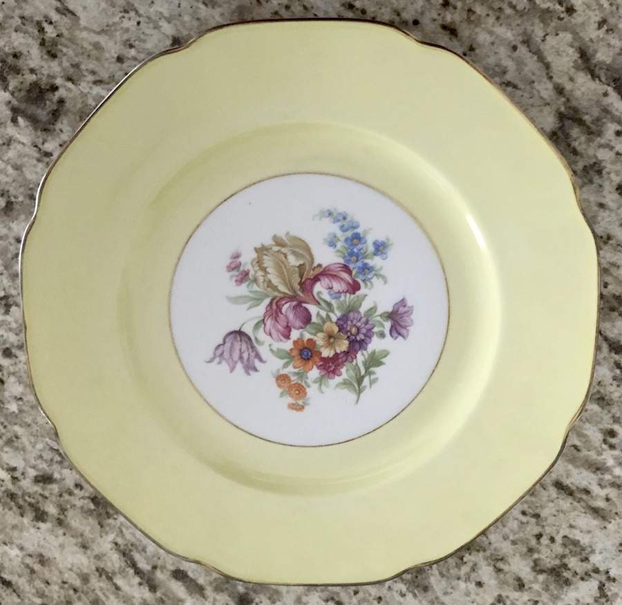 TIR428 Dinner Plate by Tirschenreuth-1