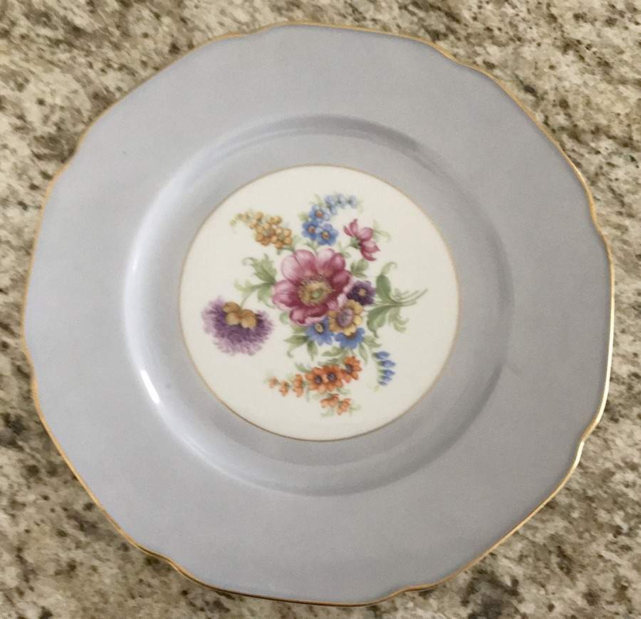 TIR428 Dinner Plate by Tirschenreuth-1