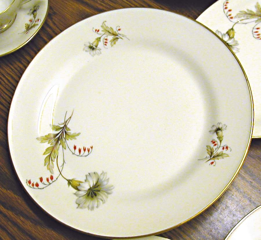 1043 Dinner Plate by Tirschenreuth-1