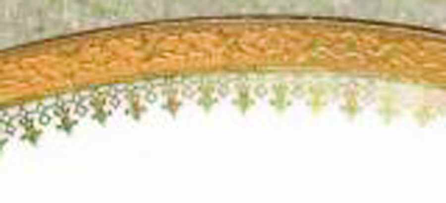 TRV499 Dinner Plate by Tressemanes & Vogt-1