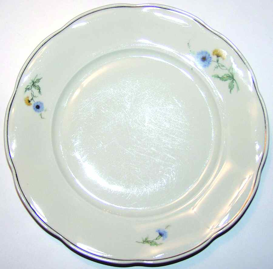 TIR430 Dinner Plate by Tirschenreuth-1