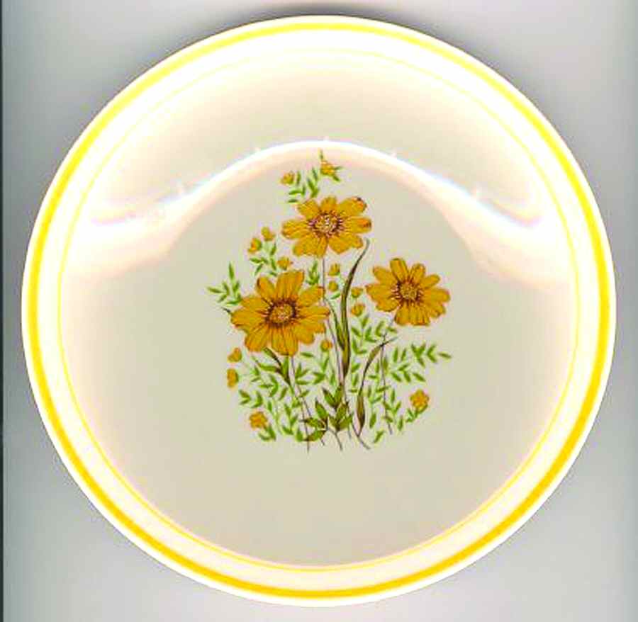 TIM5 Dinner Plate by Tian Jin Ceramics-1