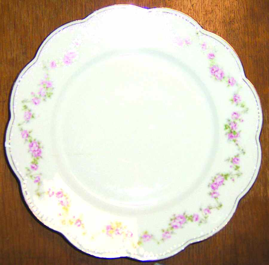 TIA7 Dinner Plate by Tiara (Bavaria)-1