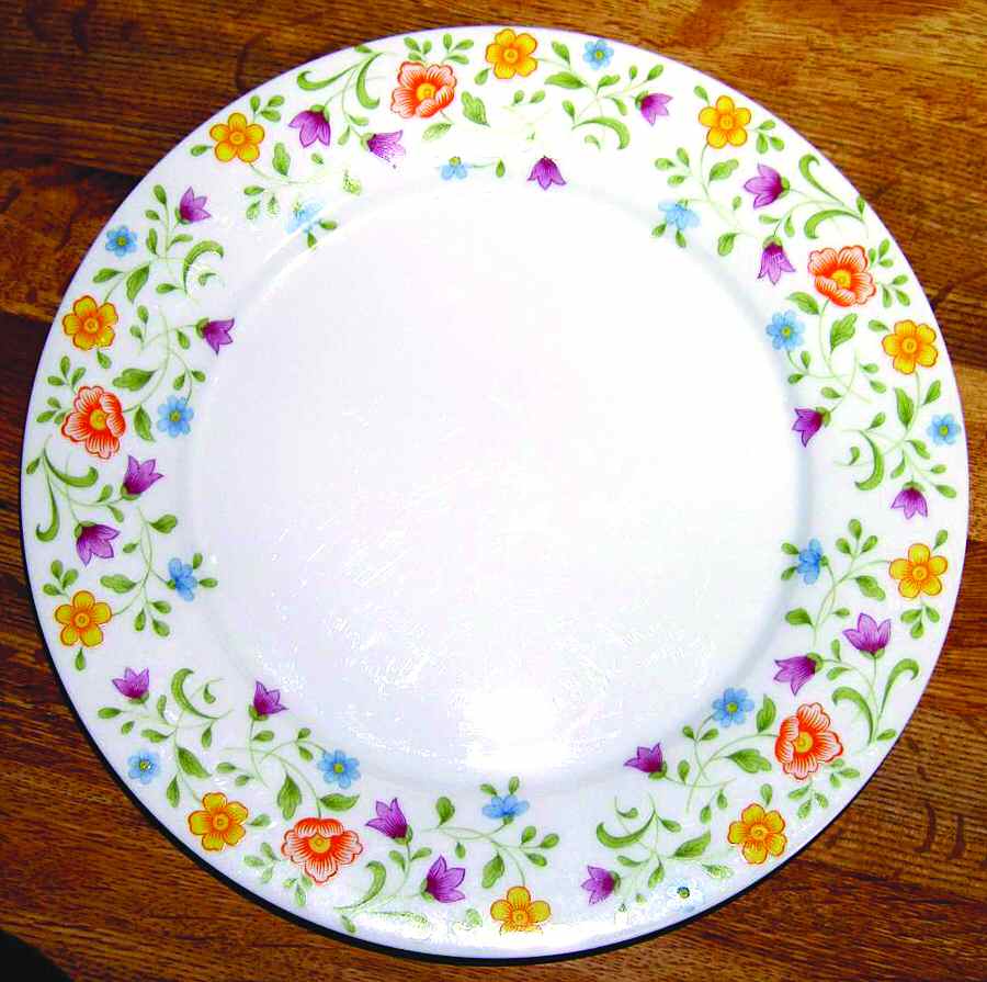 TKO6 Dinner Plate by Taiko-1