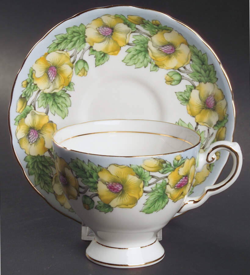 D241 Footed Cup & Saucer Set by Tuscan - Royal Tuscan-1