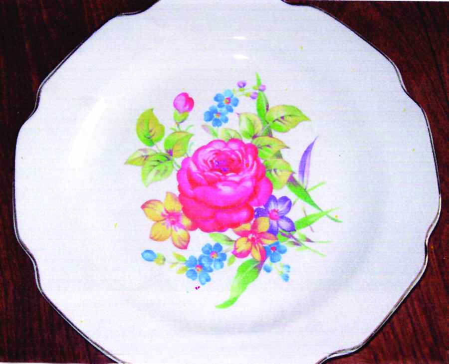 TST867 Dinner Plate by Taylor, Smith & Taylor (Ts&T)-1