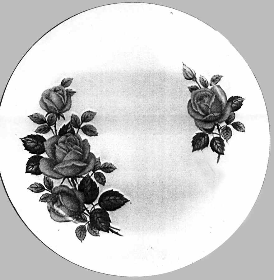 5079 Bread & Butter Plate by Taylor & Kent-1
