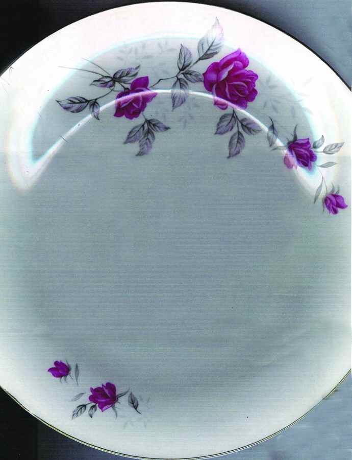 TII3 Dinner Plate by Tientsin-1