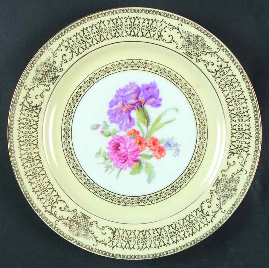 TIR446 Dinner Plate by Tirschenreuth-1