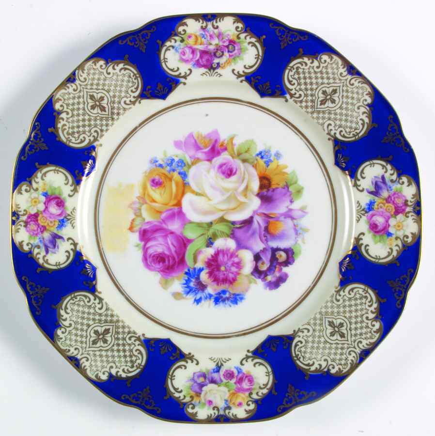 TIR448 Dinner Plate by Tirschenreuth-1