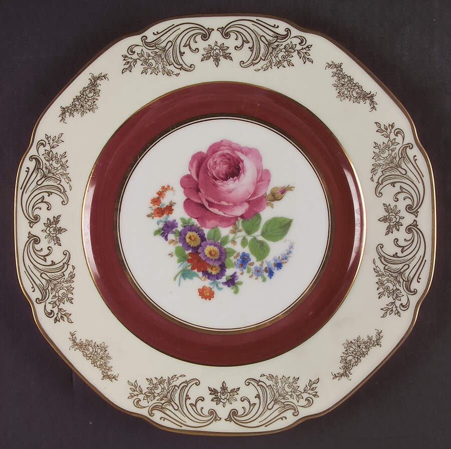 TIR450 Dinner Plate by Tirschenreuth-1