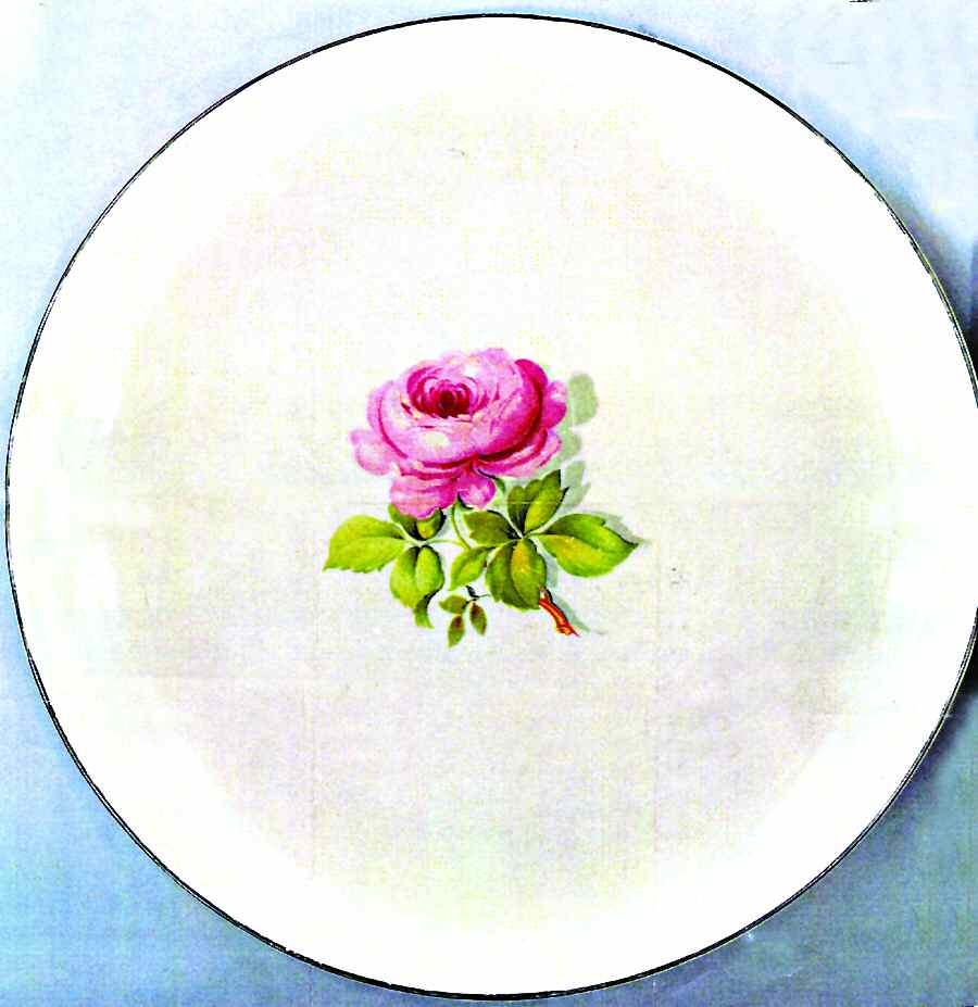 TST876 Dinner Plate by Taylor, Smith & Taylor (Ts&T)-1