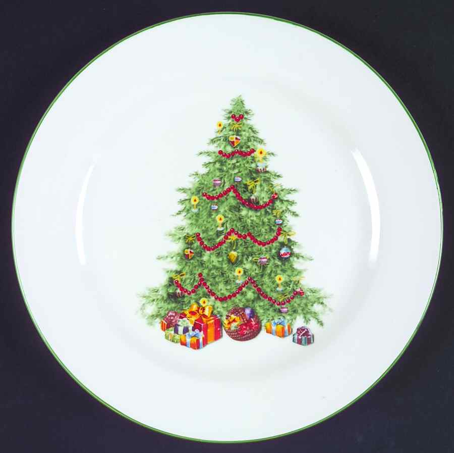 TRS11 Dinner Plate by Trisa-1