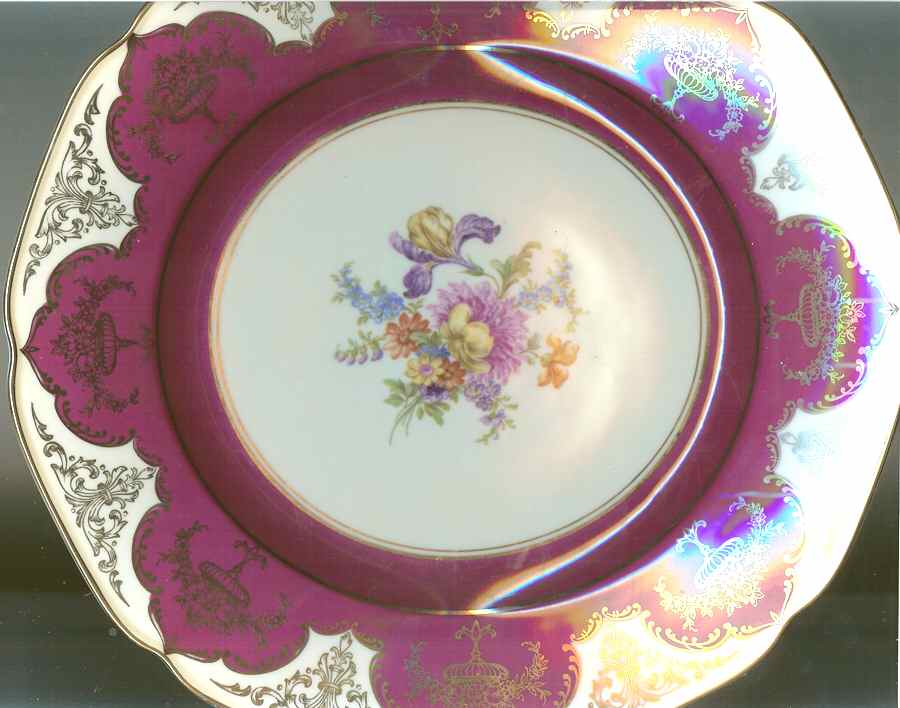 TIR458 Dinner Plate by Tirschenreuth-1