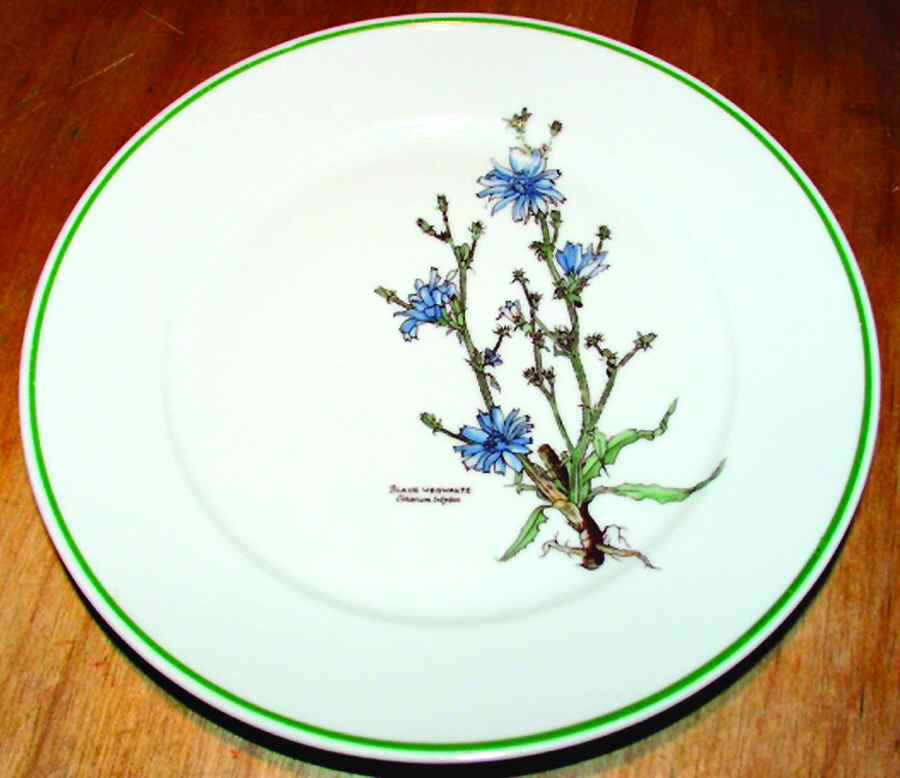 TIR460 Salad Plate by Tirschenreuth-1