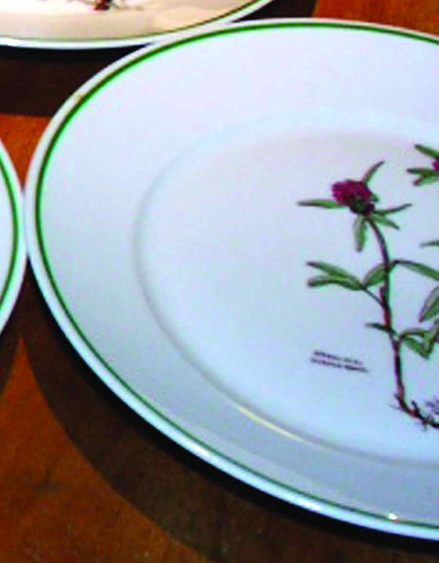 TIR460 Salad Plate by Tirschenreuth-1