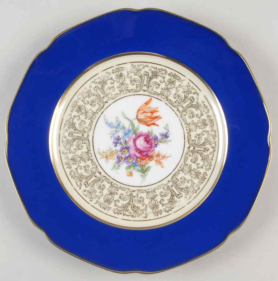 TIR473 Dinner Plate by Tirschenreuth-1