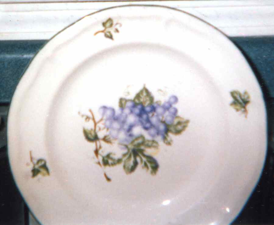 TAU36 Dinner Plate by Tabletops Unlimited-1
