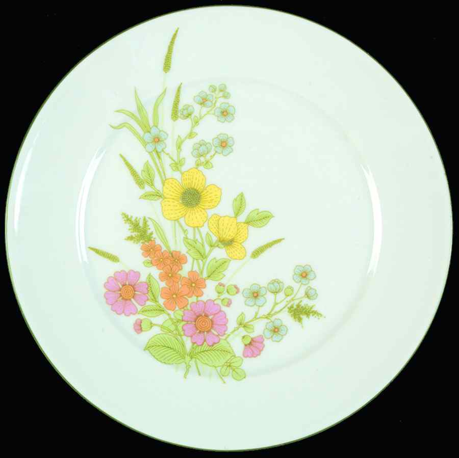 TIR477 Salad Plate by Tirschenreuth-1