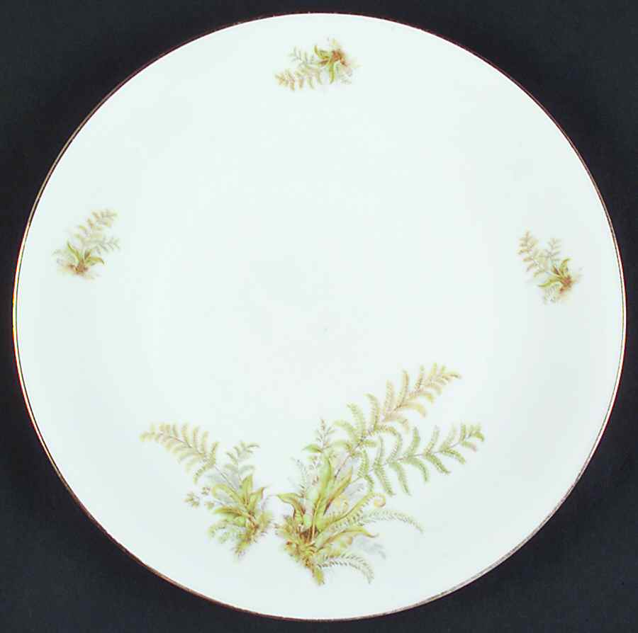 TIR484 Dinner Plate by Tirschenreuth-1