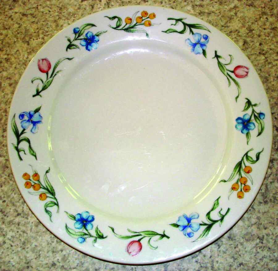 TAU38 Dinner Plate by Tabletops Unlimited-1