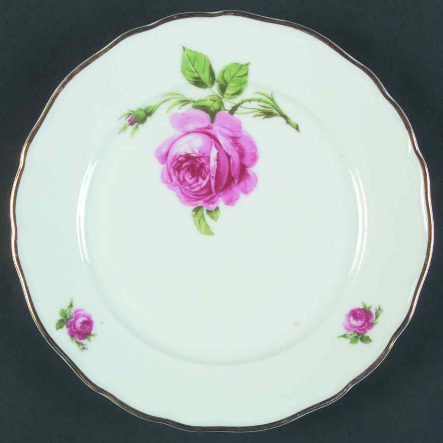 TIR490 Salad Plate by Tirschenreuth-1