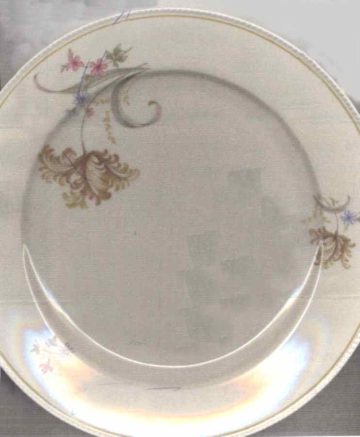 TIR495 Dinner Plate by Tirschenreuth-1