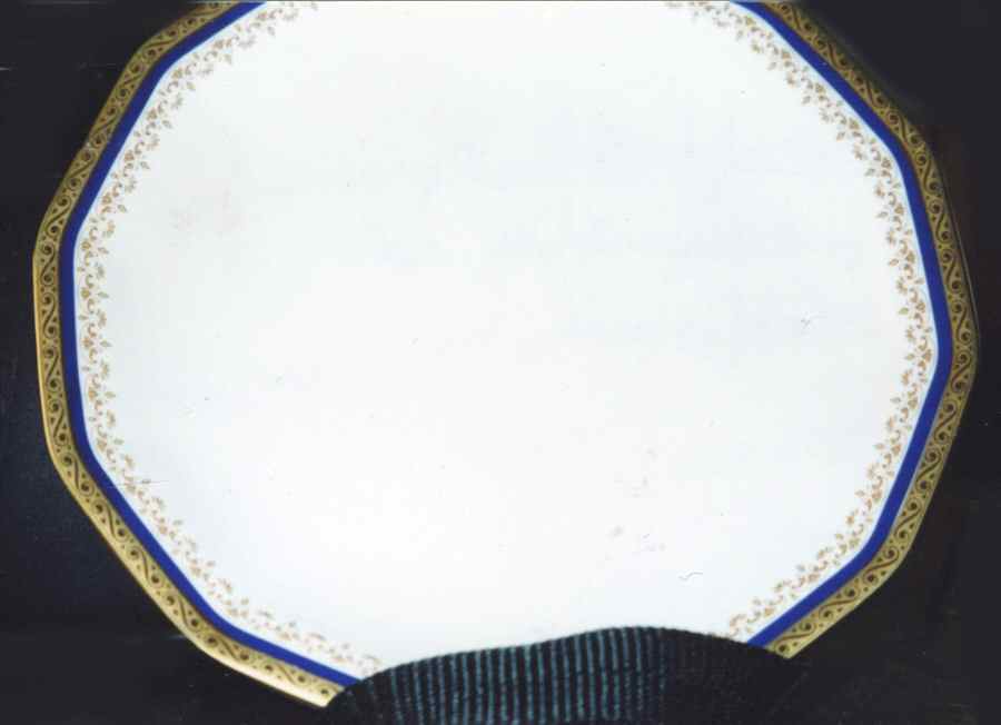 TIR496 Dinner Plate by Tirschenreuth-1