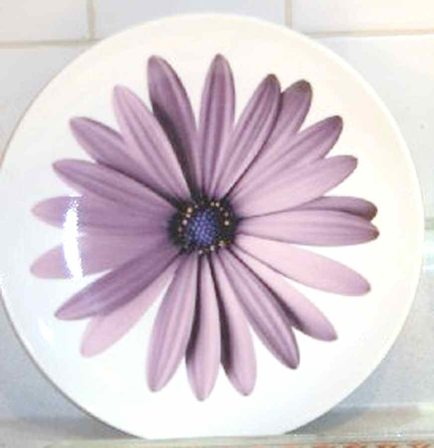 TGT2 Dinner Plate by Target-1