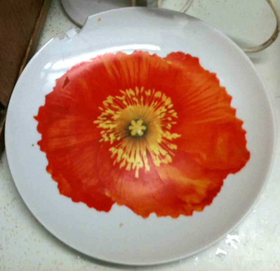 TGT2 Dinner Plate by Target-1