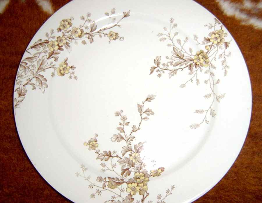 Washington Dinner Plate by Thomas Booth-1