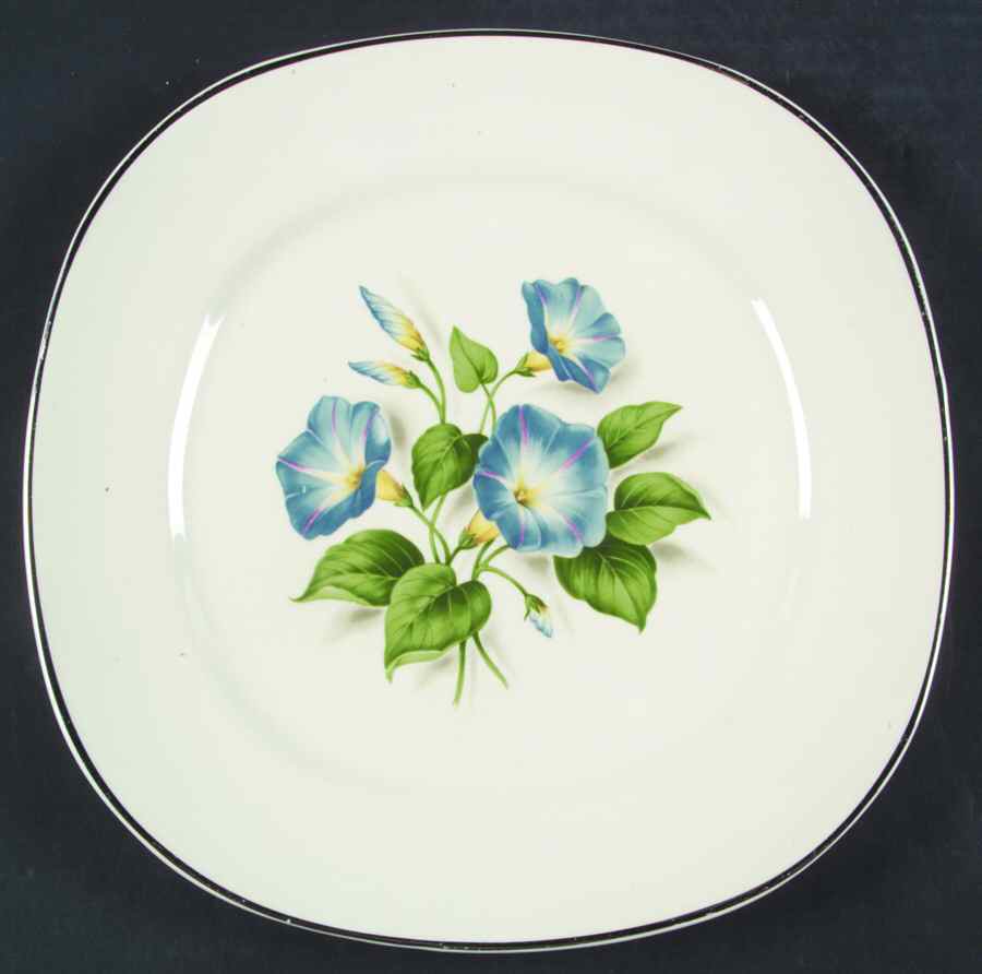 TST734 Dinner Plate by Taylor, Smith & Taylor (Ts&T)-1