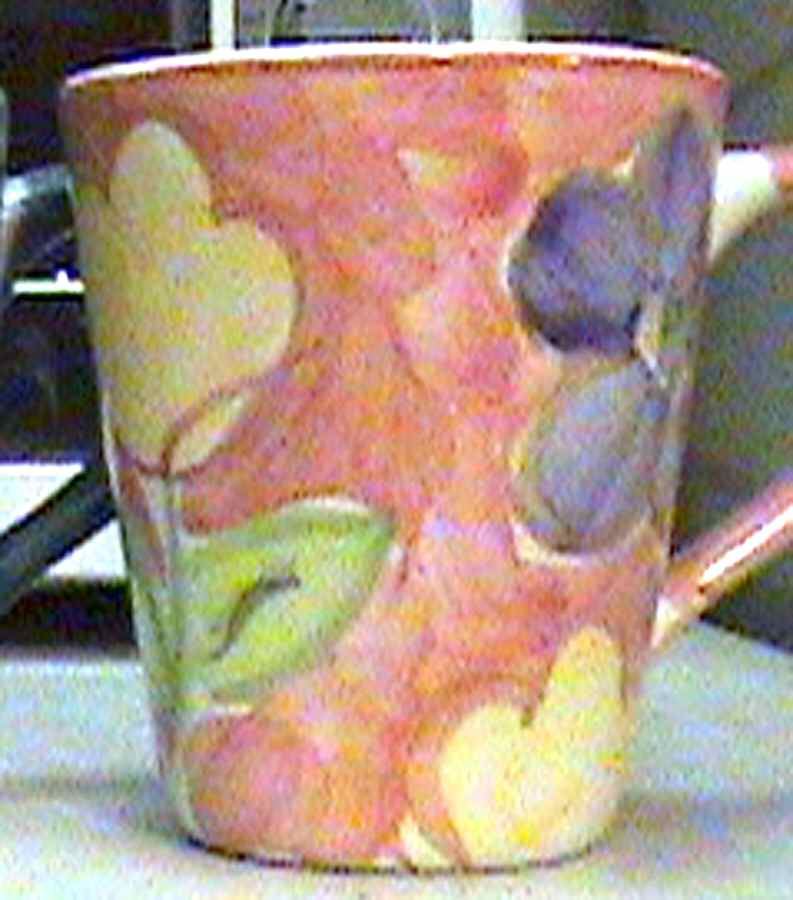 Savannah Mug by Tabletops Unlimited-1