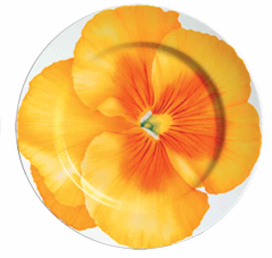 Fiori Dinner Plate by Taitu-1