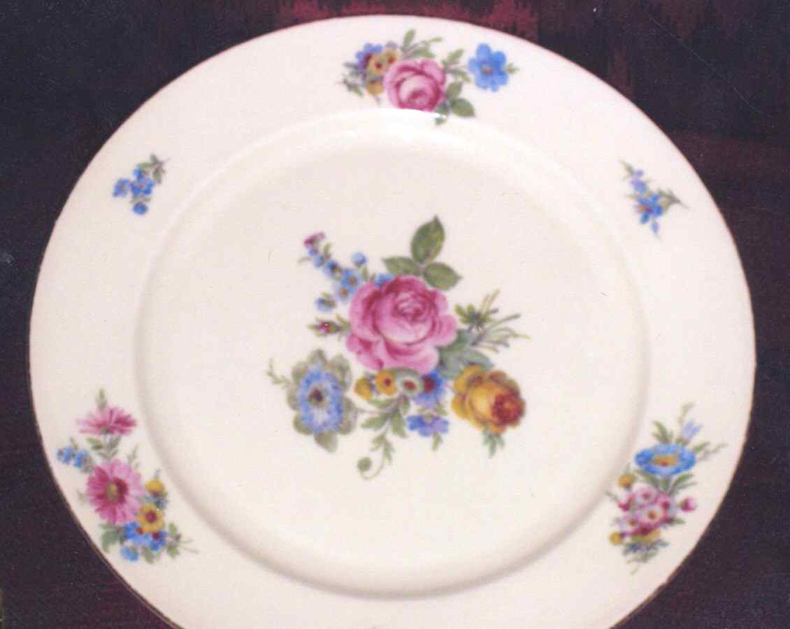 07209 Dinner Plate by Thomas-1