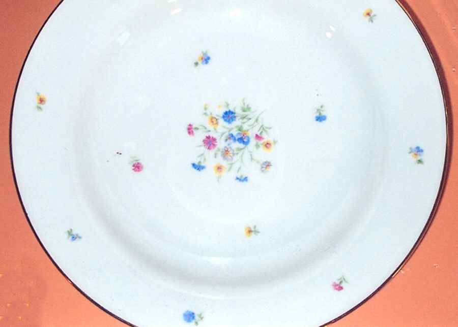 TIR511 Dinner Plate by Tirschenreuth-1