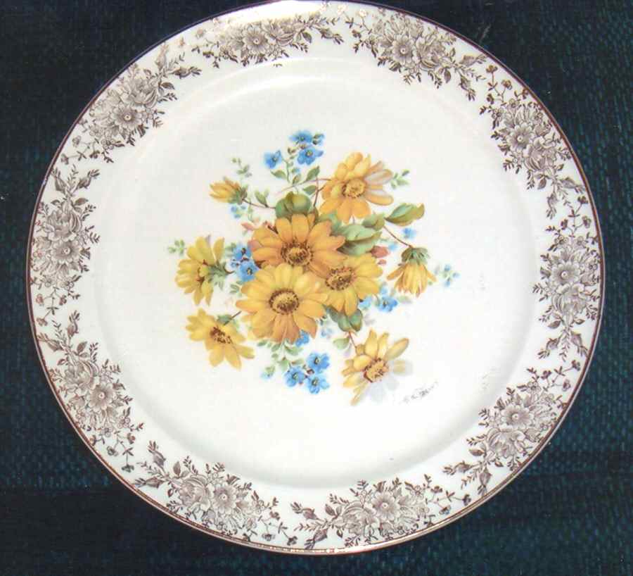 TST918 Dinner Plate by Taylor, Smith & Taylor (Ts&T)-1