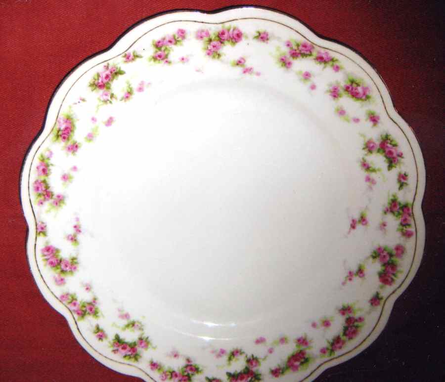 TIA9 Dinner Plate by Tiara (Bavaria)-1