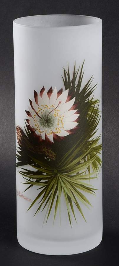 Floral (Multicolor) Glassware Tall Tumbler by Tommy Bahama-1