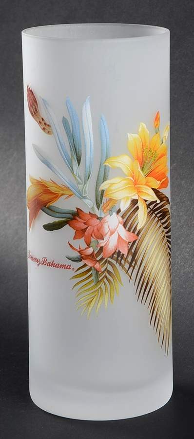 Floral (Multicolor) Glassware Tall Tumbler by Tommy Bahama-1
