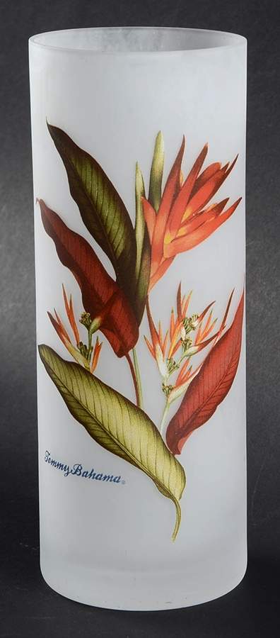 Floral (Multicolor) Glassware Tall Tumbler by Tommy Bahama-1
