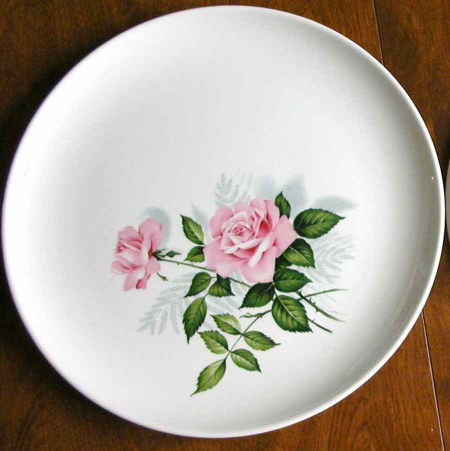 TST922 Dinner Plate by Taylor, Smith & Taylor (Ts&T)-1