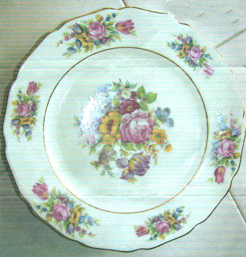04867 Dinner Plate by Thomas-1