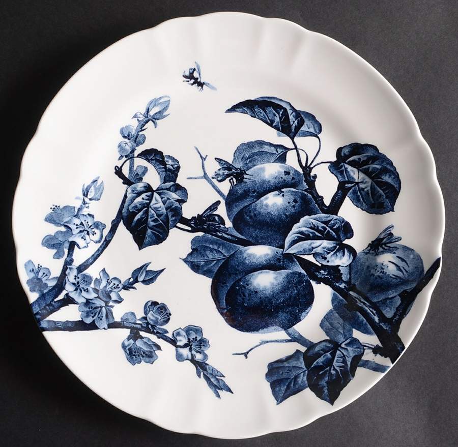 Austin Floral Indigo Dinner Plate by Thomas O'Brien-1
