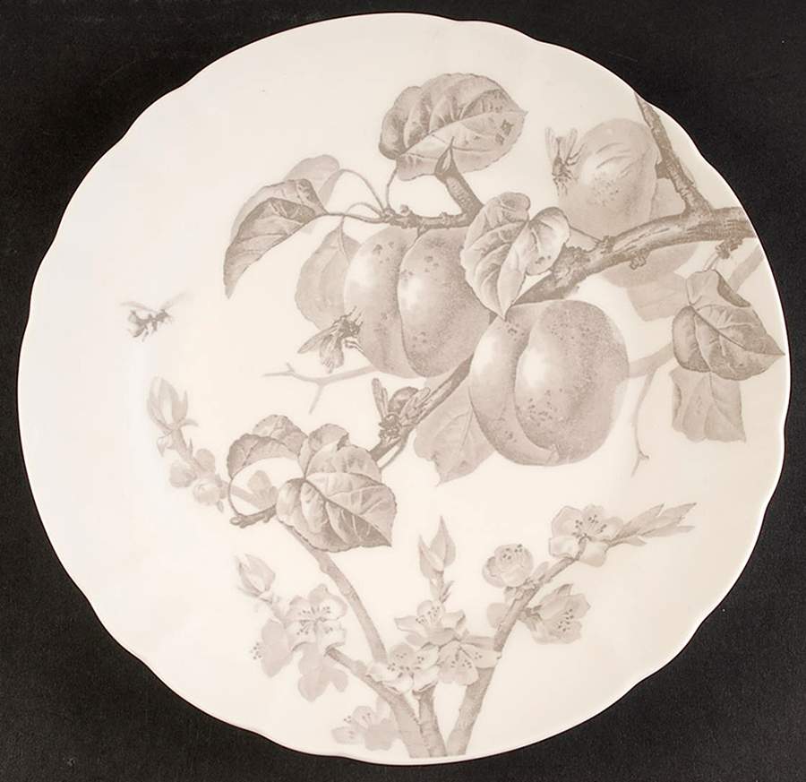 Austin Floral Ivory Dinner Plate by Thomas O'Brien-1